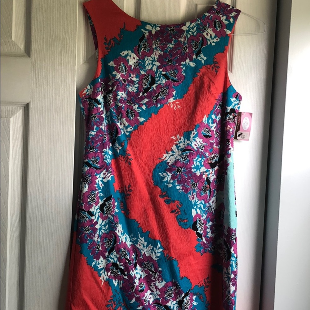 Ladies Sleeveless Dress